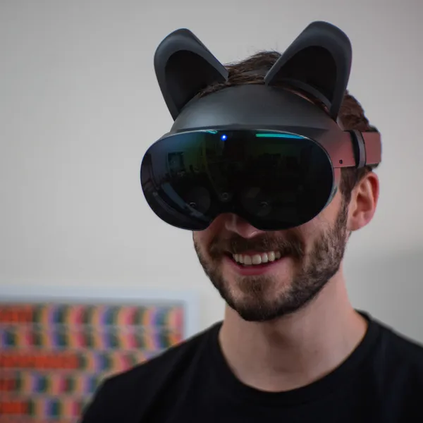 quest pro ears