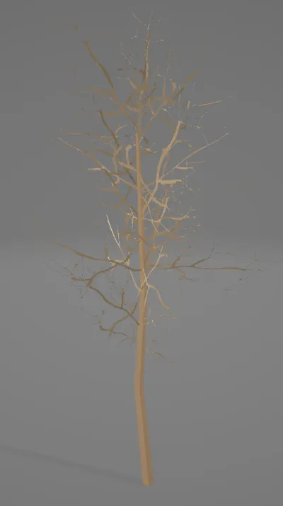 Twiggy Tree