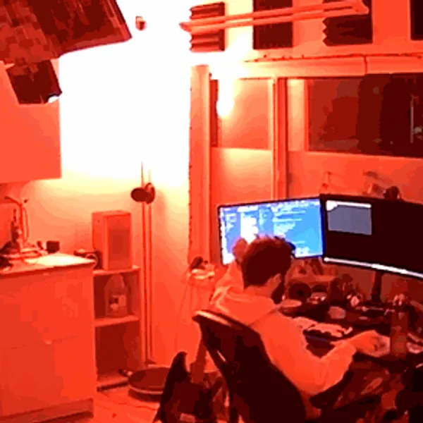 real minecraft phantom