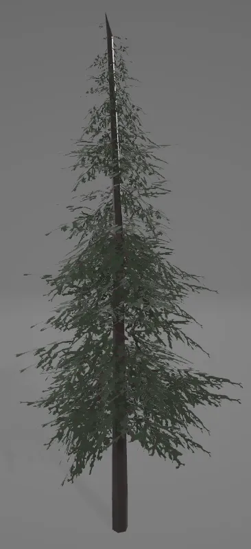 Pine Tree
